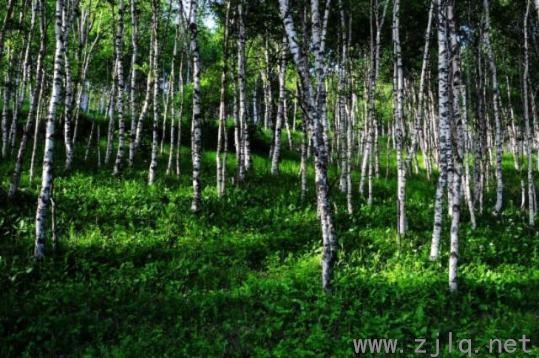 河北（běi）要建“國家1號公路”！世界級景觀長廊來了