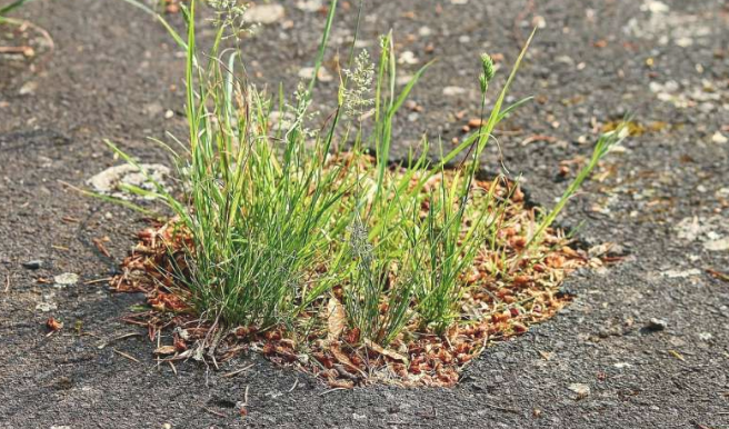 人工智能可以輕（qīng）鬆廉價地檢測道路（lù）橋梁和建築物的問題